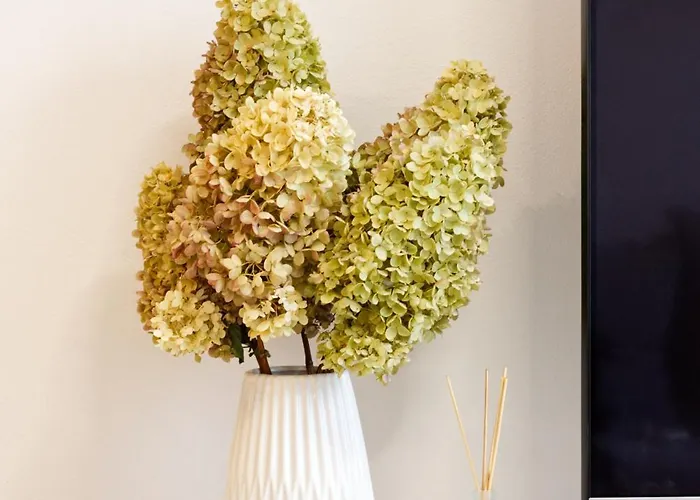 Doriloty In Center *